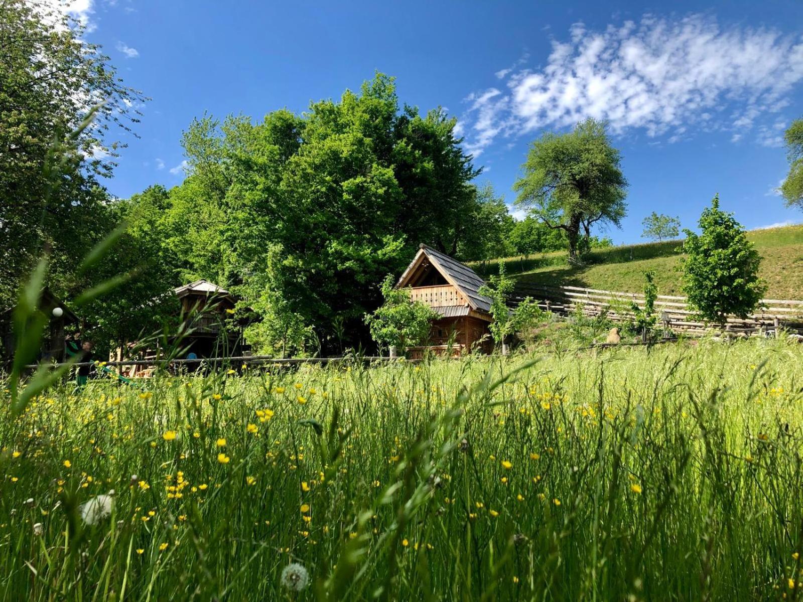 Glamping Savinja Hotel Ljubno Kültér fotó