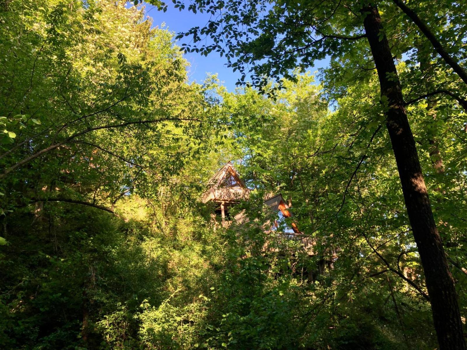 Glamping Savinja Hotel Ljubno Kültér fotó