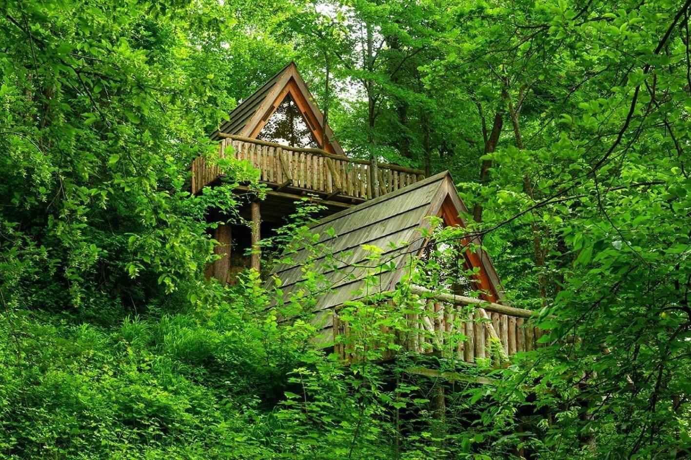 Glamping Savinja Hotel Ljubno Kültér fotó