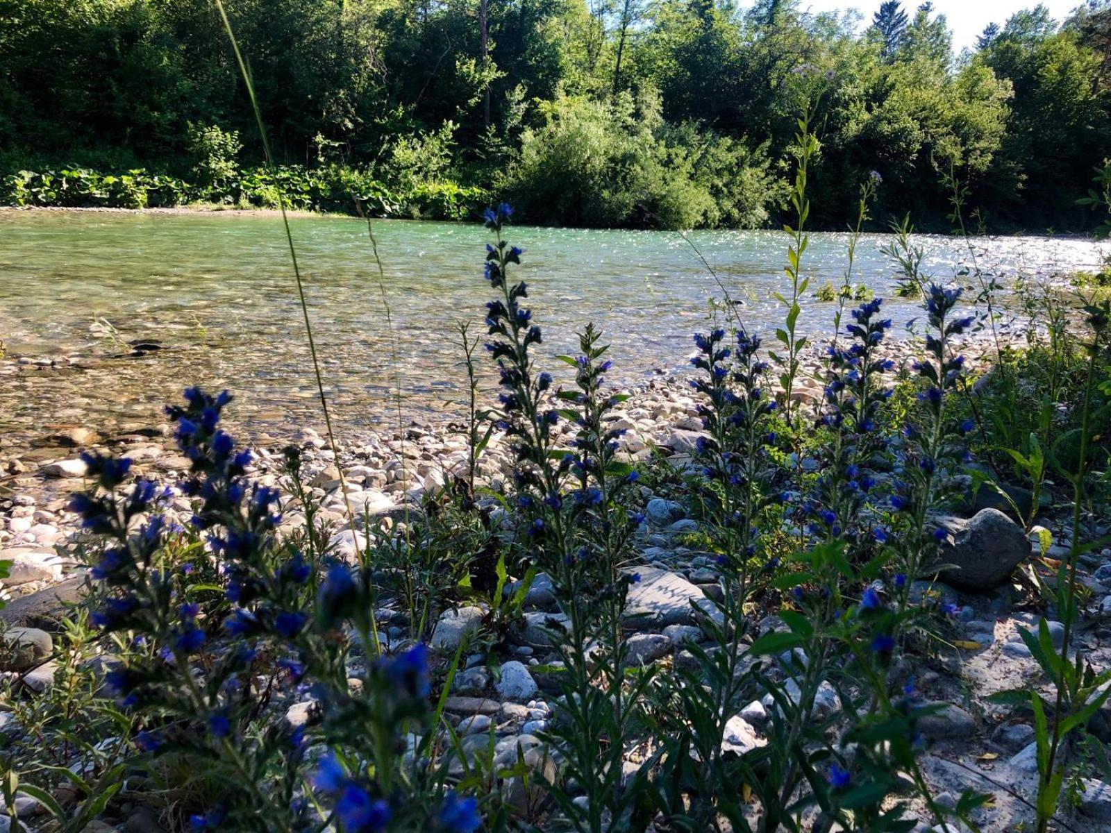 Glamping Savinja Hotel Ljubno Kültér fotó