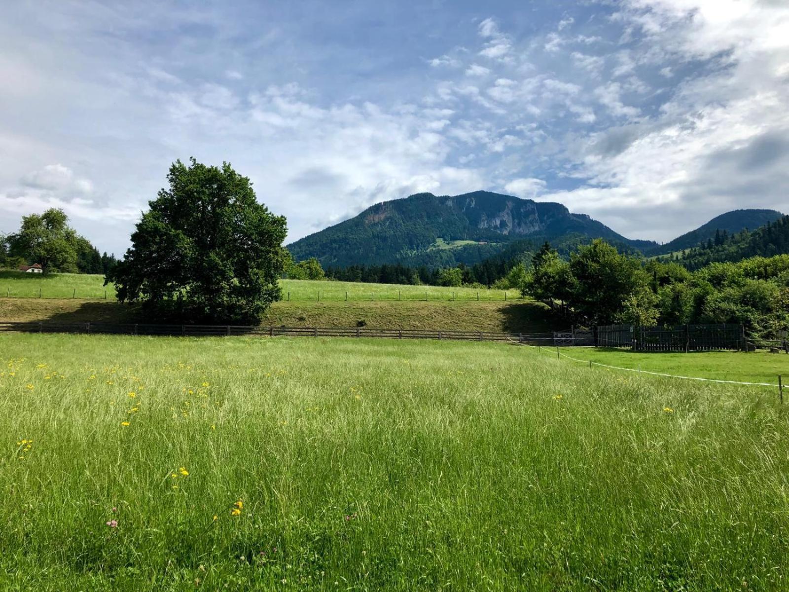 Glamping Savinja Hotel Ljubno Kültér fotó